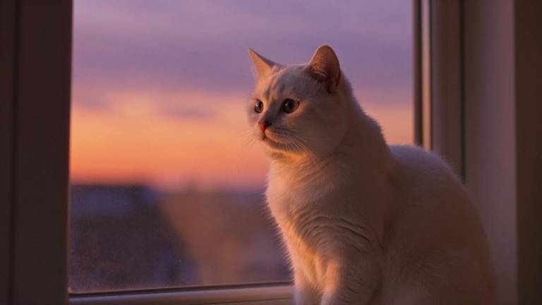 发力BMS芯片,大唐恩智浦将获基金专项投资 发力BMS芯片,大唐恩智浦将获基金专项投资第一张图