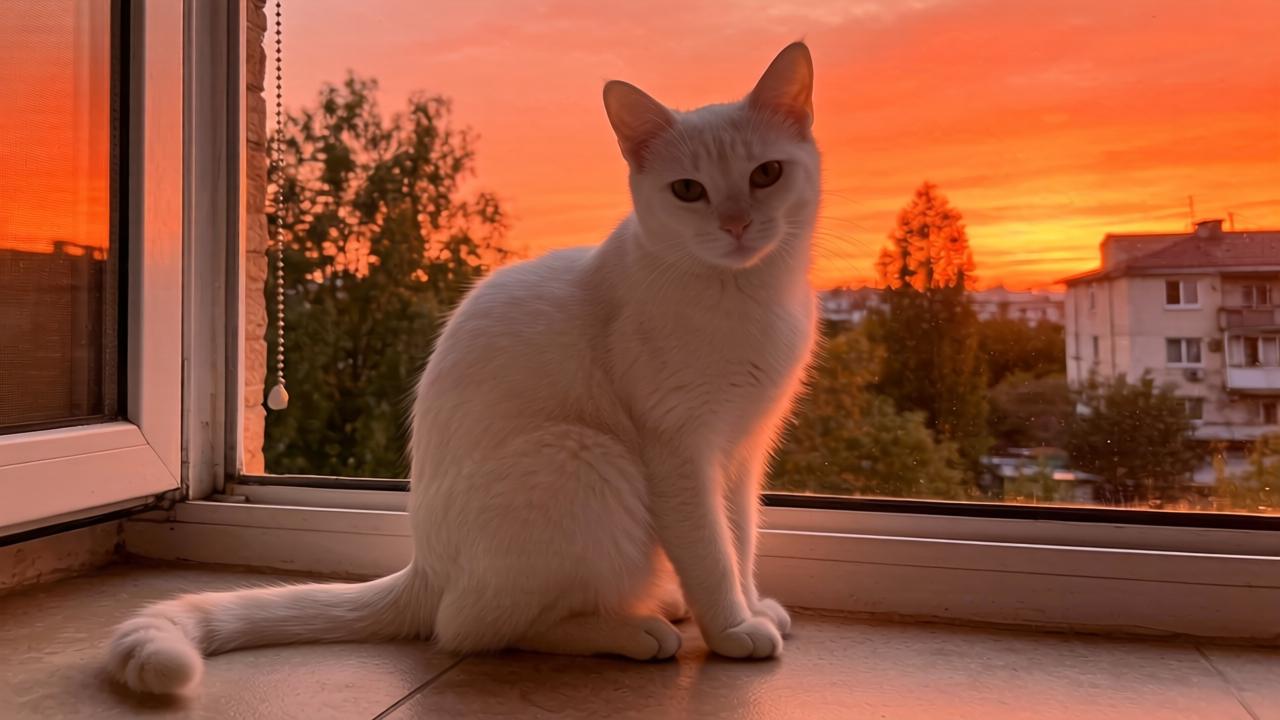 芯动态|华为或有三款5G芯片陆续登场 芯动态|华为或有三款5G芯片陆续登场第一张图