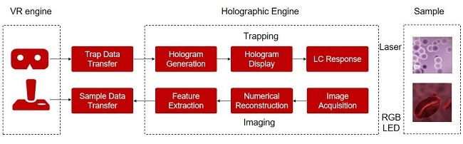 微美全息推出实时网络全息显微镜交互技术,可广泛应用于教育科研(图1) 微美全息推出实时网络全息显微镜交互技术,可广泛应用于教育科研(图1)
