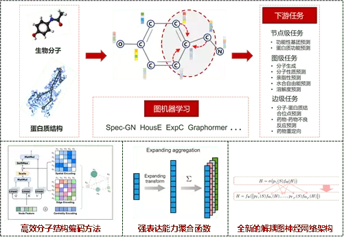 大连理工大学携手昇腾AI，共同孵化分子模拟大模型(图1)