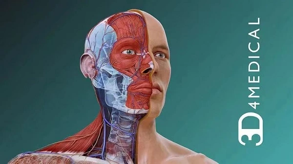 全球43%的临床医护人员遭遇过劳压力 如何为医护人员减负？AI技术革新引领未来医疗发展趋势(图2)