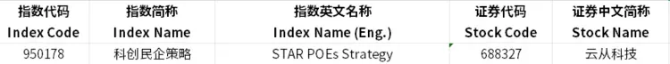 上交所与中证指数公司发布｜云从科技入选科创板民企双指数(图3)