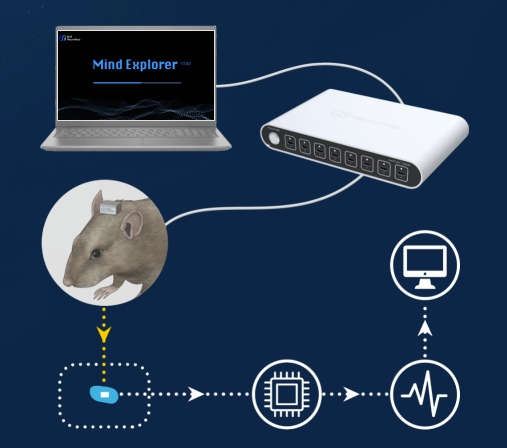 脑虎科技高通量神经信号采集系统首次亮相 助力科研和医疗各领域(图1) 脑虎科技高通量神经信号采集系统首次亮相 助力科研和医疗各领域(图1)