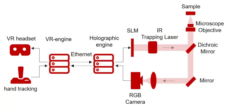 微美全息开发用于全息虚拟现实沉浸式操作的实时显微系统(图1)