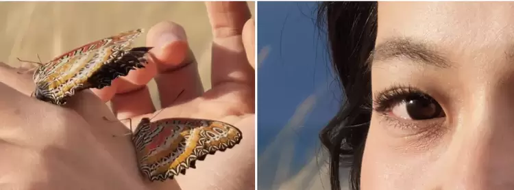 从潮汐引擎到芯链技术，OPPO与联发科的深度共研重塑旗舰合作(图9)