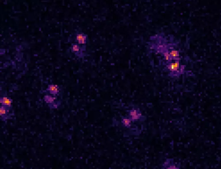 重磅发布丨深视智能全新背照式制冷sCMOS相机新品上市，突破灵敏度和噪声极限(图8)