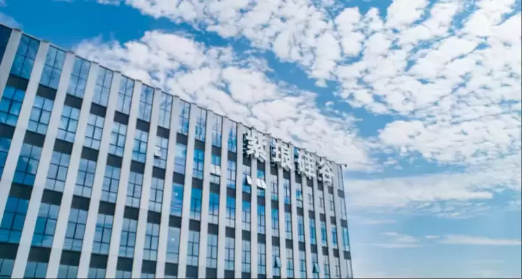 南山遇上紫琅湖，集成电路产业联动迎新机遇(图3)