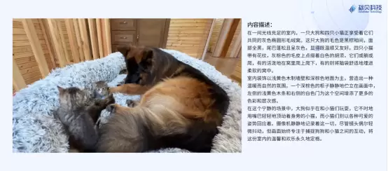 超级文生视频模型Sora正式来了！多模态训练数据是关键(图5)