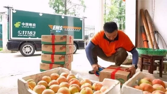 苏州绿色动脉：九识智能如何用无人车编织低碳物流网络(图2)