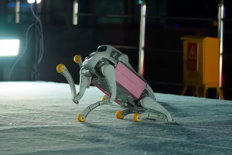 行业首发！智元×火花机器人联合发布机器狗表演方阵(图6)