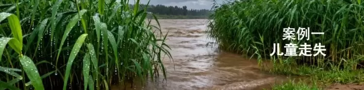 2025神眸秋季新品发布会 神眸创始人杨作兴博士解读不是每一款摄像机都叫神眸(图5)