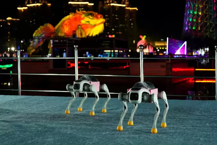 行业首发!智元×火花机器人联合发布机器狗表演方阵(图3) 行业首发!智元×火花机器人联合发布机器狗表演方阵(图3)