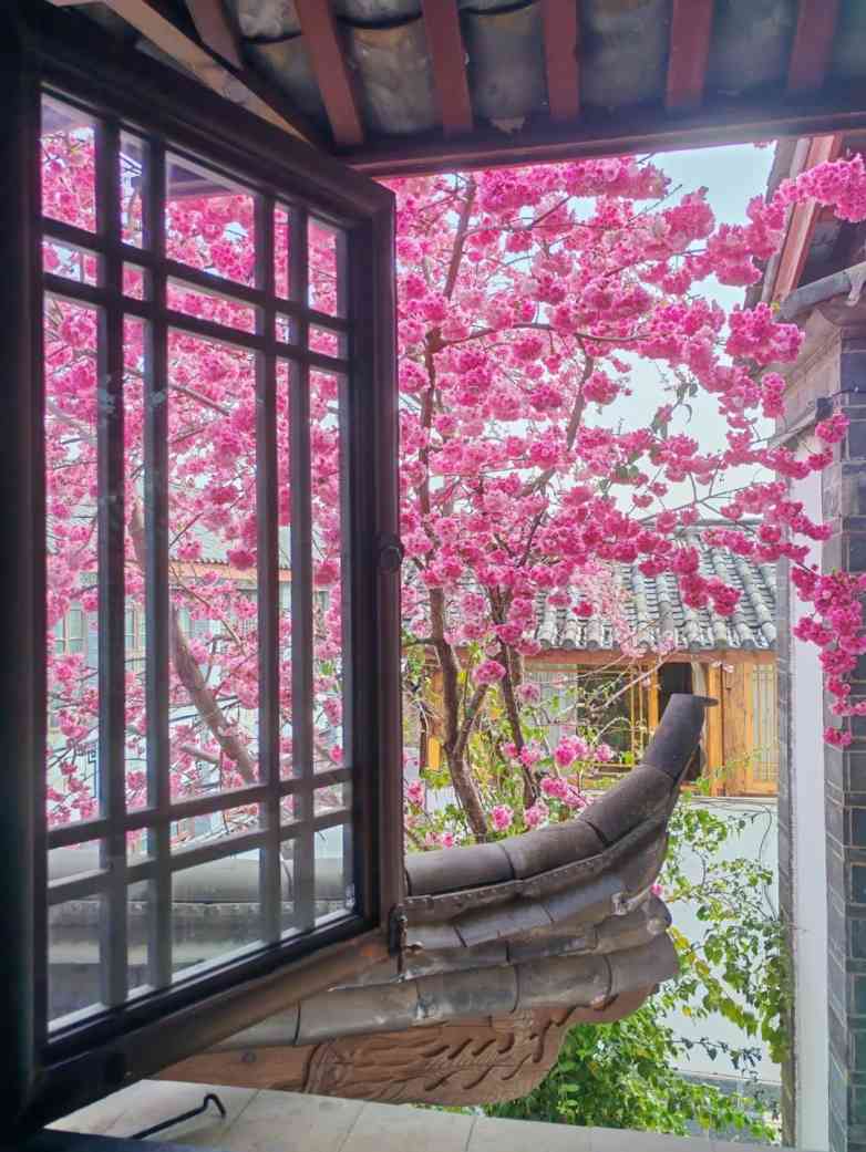 凿一孔，通万物(图6)