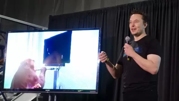 脑机接口重磅成果发布，微美全息深耕研发BCI游戏模型和范式(图1)