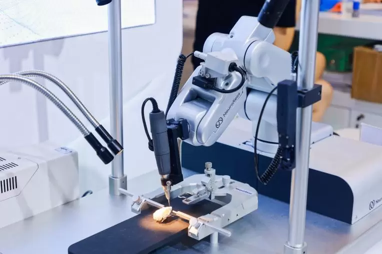 脑虎科技彭雷：以务实之道，行长稳之路(图1)