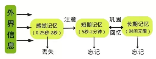 讲真深耕科学记忆领域,提供更多元化的记忆提升课程(图1) 讲真深耕科学记忆领域,提供更多元化的记忆提升课程(图1)