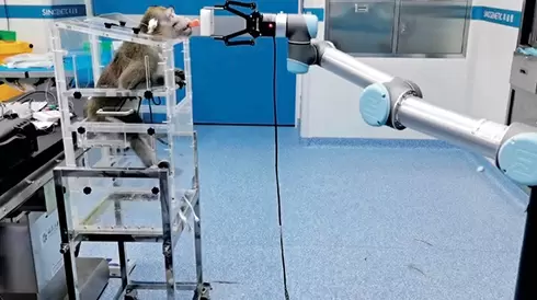 脑机接口重磅成果发布，微美全息深耕研发BCI游戏模型和范式(图2)