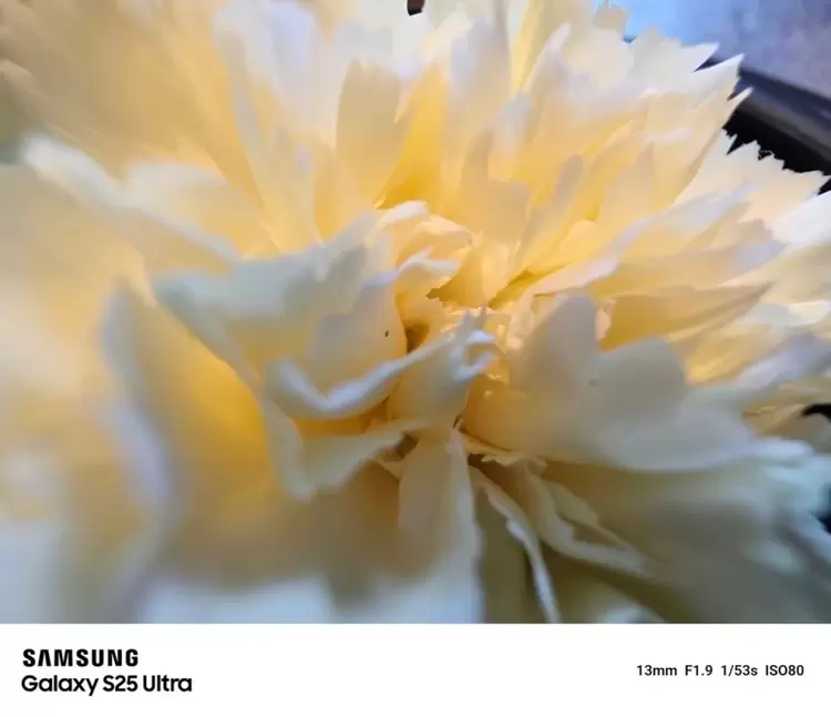 AI赋能移动影像 三星Galaxy S25 Ultra开启全场景专业拍摄体验(图3)