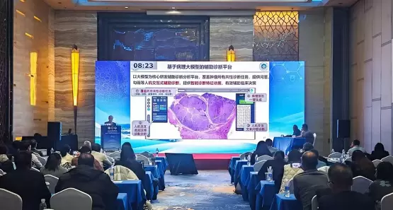 浙江大学发布人机交互AI病理诊断大模型OmniPT，推动数字病理智能化临床应用(图1)