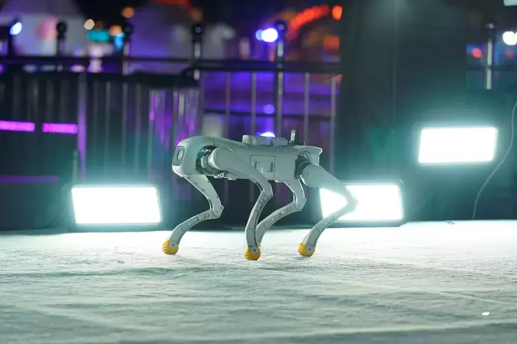 行业首发！智元×火花机器人联合发布机器狗表演方阵(图5)