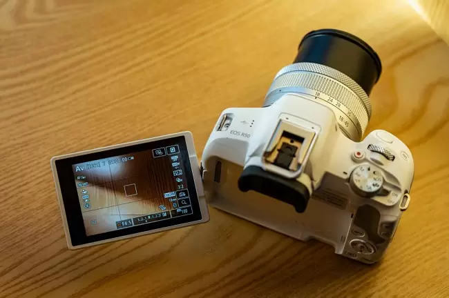 兼顾轻便与性能 佳能EOS R50拍摄体验(图6)