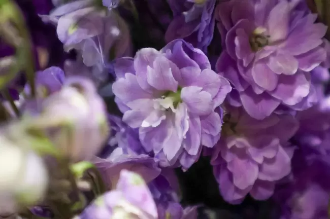 兼顾轻便与性能 佳能EOS R50拍摄体验(图13)