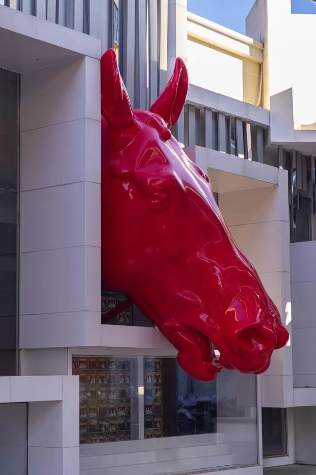 兼顾轻便与性能 佳能EOS R50拍摄体验(图38)