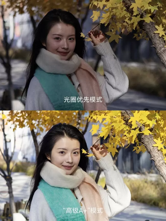 兼顾轻便与性能 佳能EOS R50拍摄体验(图22)