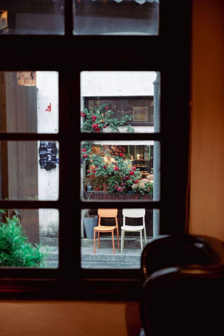 庭午，蝉没收了时间(图1)