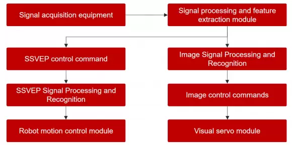 微美全息开发多模态脑电视觉伺服BCI系统(图1)