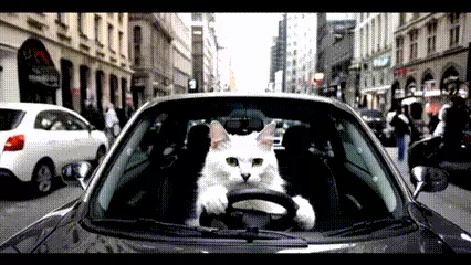 年终巨献|业内首创功能大揭秘，Tec-Creative 2.0 “爆款力”全升级(图2)