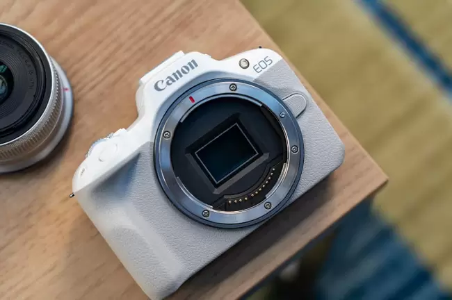 兼顾轻便与性能 佳能EOS R50拍摄体验(图5)