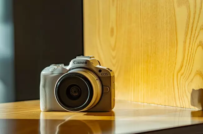 兼顾轻便与性能 佳能EOS R50拍摄体验(图4)