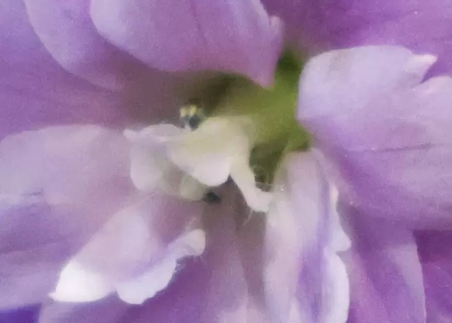 兼顾轻便与性能 佳能EOS R50拍摄体验(图14)