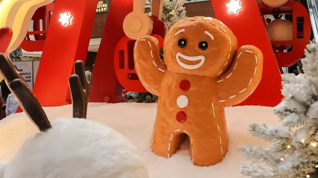 兼顾轻便与性能 佳能EOS R50拍摄体验(图15)