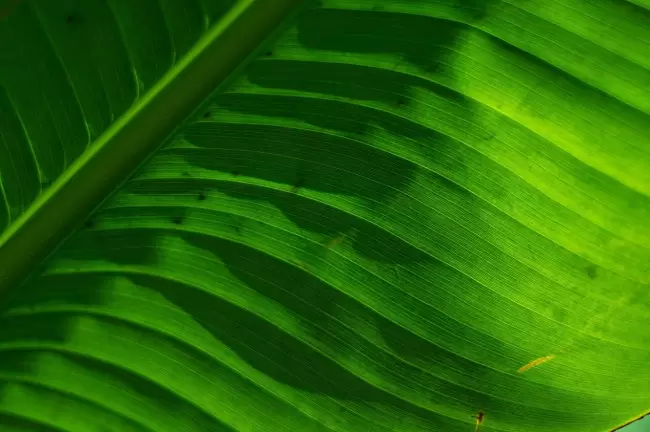 兼顾轻便与性能 佳能EOS R50拍摄体验(图40)