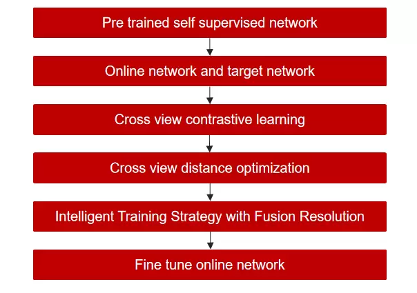 微美全息开发一种高效的深度自我监督遥感场景分类技术(图1)