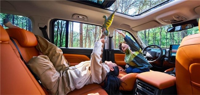 20万左右的suv油车最佳推荐：长城硬派SUV领跑越野新时代(图2)