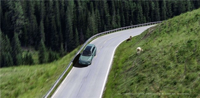 30万左右的suv推荐：越野SUV多面手深度解析(图2)