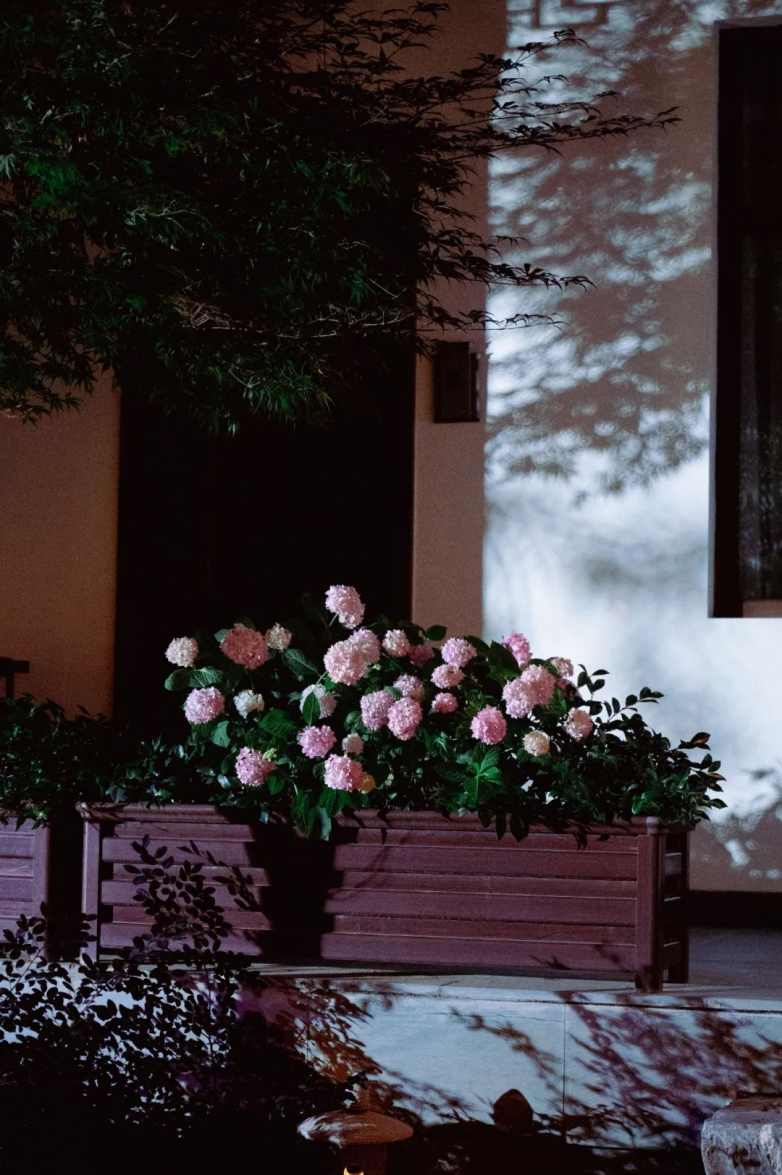 庭午，蝉没收了时间(图2)