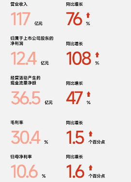 九号公司“真智能”突围！2025上半年营收超117亿，同比增长76.14%(图2)