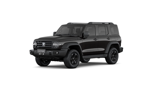 20万左右的suv车最佳推荐，家用SUV中的硬派实力派(图3)