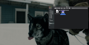 稳定读写不掉速，惠普P500 1TB固态移动硬盘开箱体验(图17)