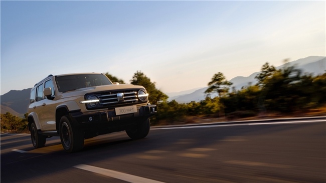 20万左右新能源车推荐？两款新能源SUV表现亮眼(图3)