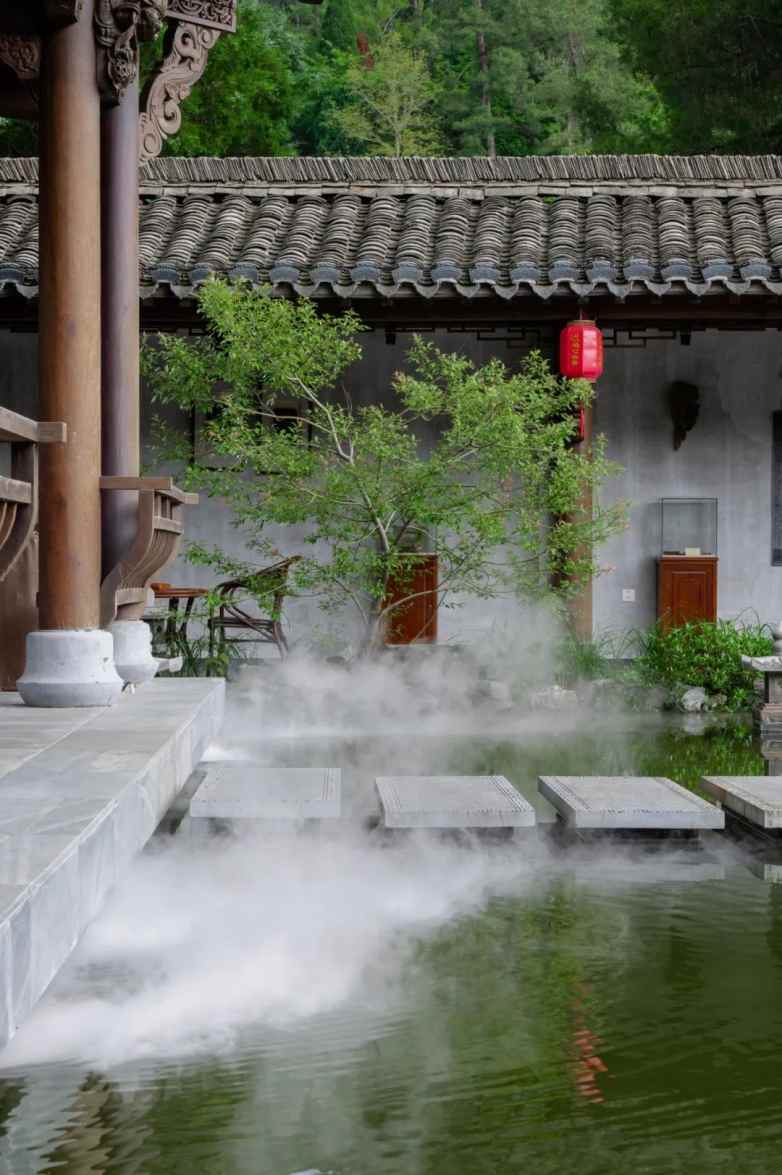 庭午，蝉没收了时间(图4)