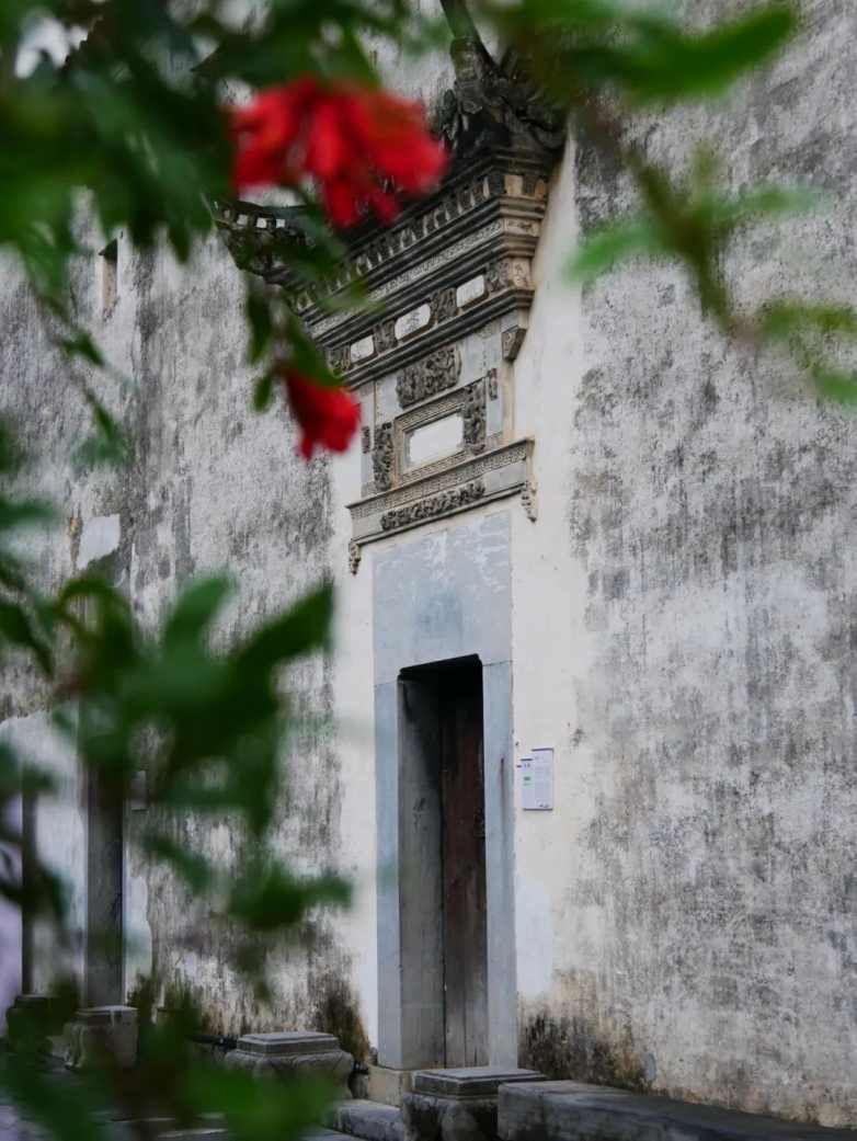 庭午，蝉没收了时间(图10)