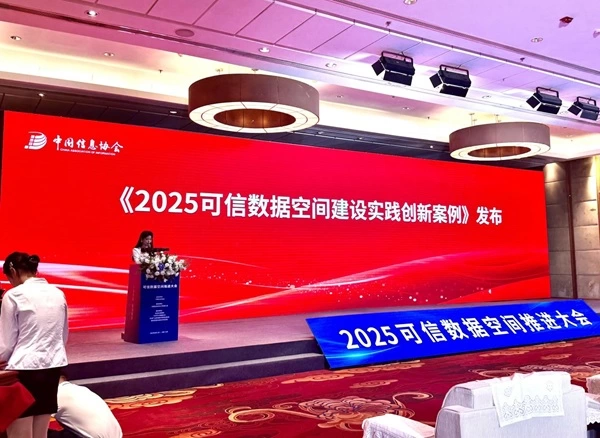 思特奇受邀参与2025可信数据空间推进大会并发表主旨演讲(图4)
