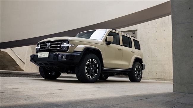 20万左右新能源车推荐，家用SUV指南来了(图3)