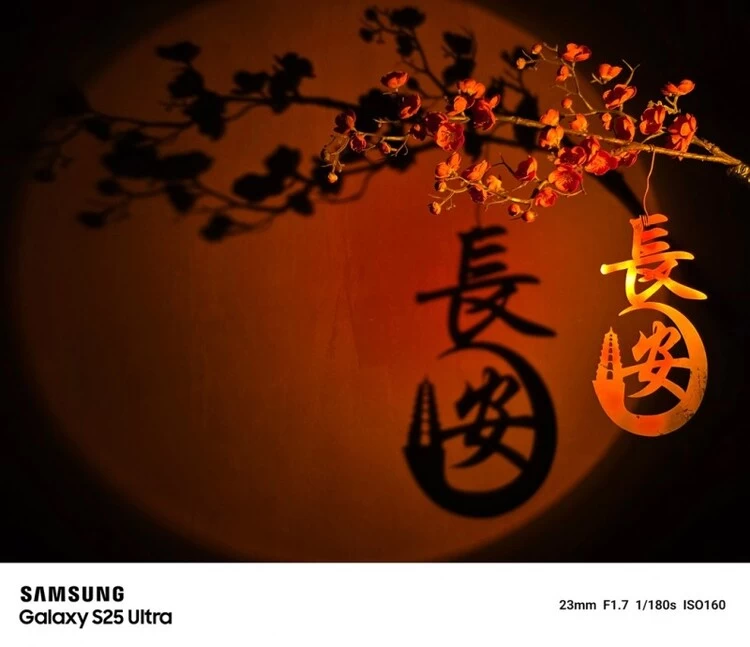 精准捕捉 细腻呈现 三星Galaxy S25 Ultra让影像故事更精彩(图2)