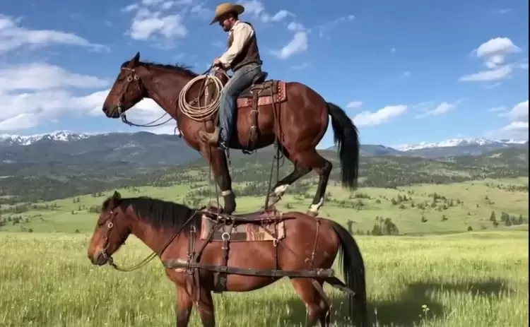 OpenAI推出新款社交视频应用：可对好友进行深度模仿(图1)